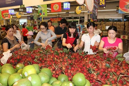 Supply chains key to farmers' incomes