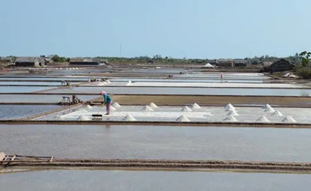 Hot weather lifts Ben Tre salt yield by 30%