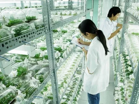 Hi-tech zones aim to improve farming sector