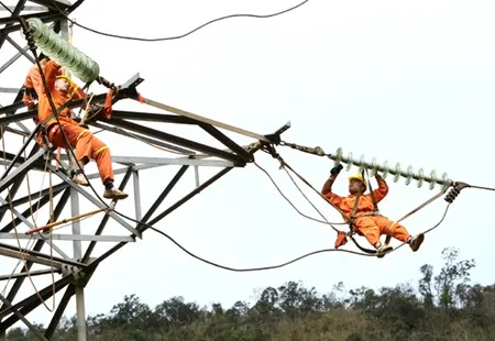 Expert urges VN to reform energy sector