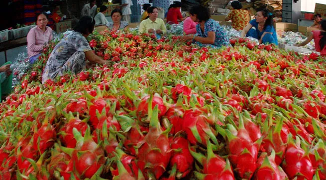 Vietnam to set new fruit and vegetable export record in 2015