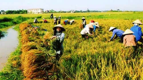 Dong Ha – Ha Giang’s first commune recognized as new-style rural area