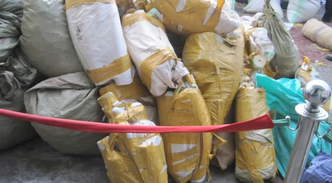 Danang police seize smuggled tusks