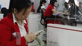 Vietnam’s new exchange rate amplitude deemed appropriate