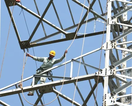 Power sector needs shaping future green growth