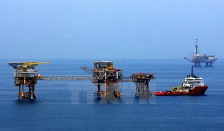 Guidelines govern petroleum sector