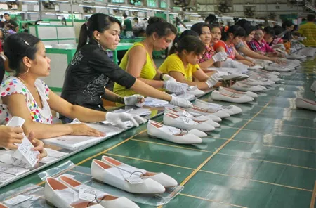VN exports to Mexico to jump 45% from year ago