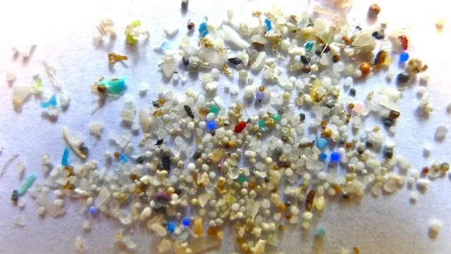 Scientists call for a ban on microbeads to protect the environment