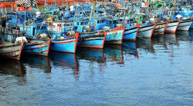 Vietnam aquaculture sector reviewed
