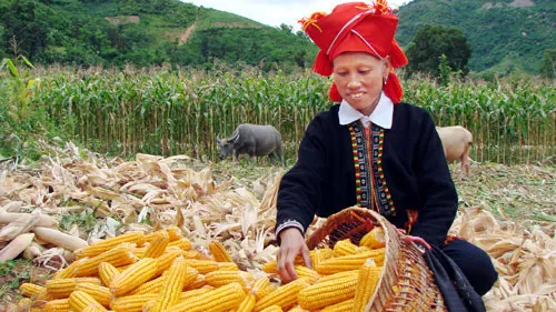 Vietnam ends extreme poverty for millions of people