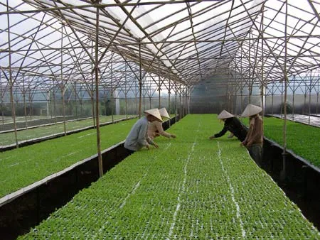 Agriculture sector aims to reduce greenhouse gases