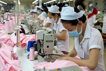 HCM City companies strategise for TPP