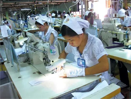 Free trade to bolster VN-France business