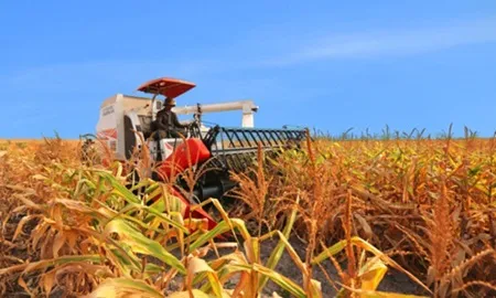 HAGL Agrico to sell 59 million shares