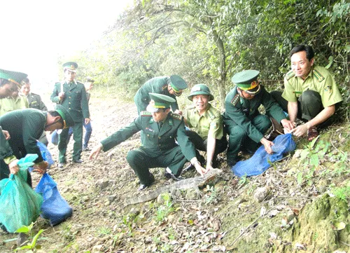 Ha Tinh releases rare animals into the wild