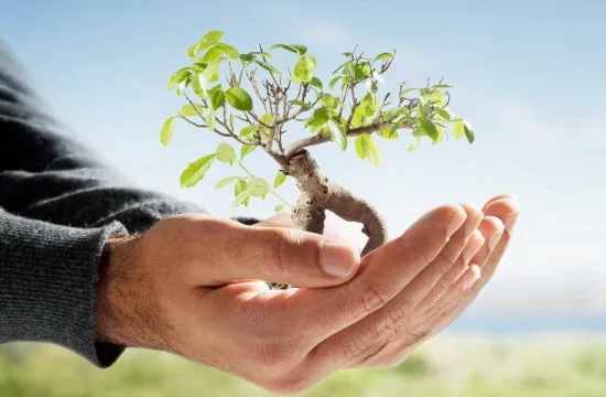 Zero-capital start-up proves a success