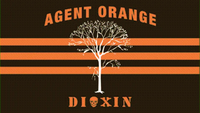 Vietnam seeks to enhance AO/Dioxin decontamination capacity