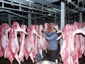 World Bank helps improve food hygiene and safety