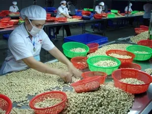 Processing industry contributes 78 percent of exports