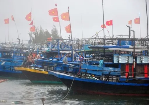 Quang Nam ensures safety of 4,000 foreign tourists