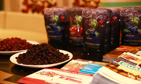 Canadian food festival held in Ho Chi Minh city