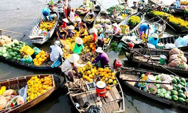 Mekong Delta struggles to attracts investment