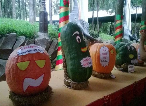 Eye-catching vegetables – a new direction for Da Lat’s agriculture