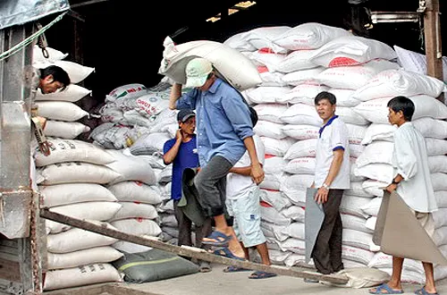 Vietnam strives to improve rice competitiveness