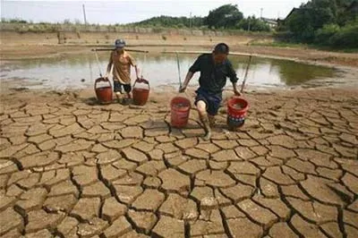 Climate change restricts forest protection in Quang Tri