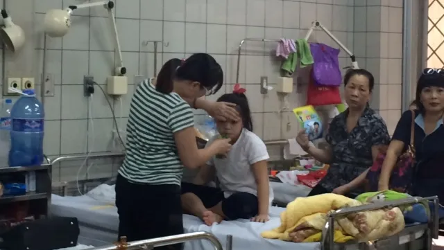 Six-year record heat increases encephalitis cases