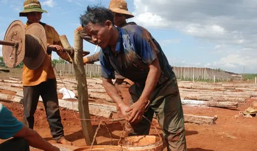 Effects of El Nino intensify in Vietnam