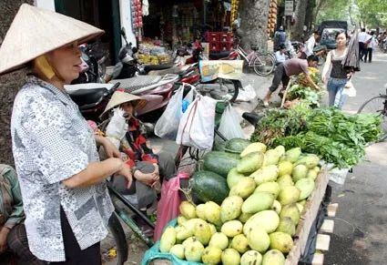 Vietnam strives to balance state budget