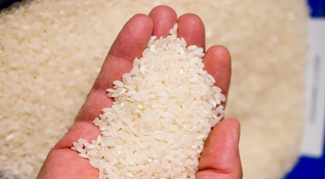 National rice brand: Vietnam’s choice of jasmine rice controversial