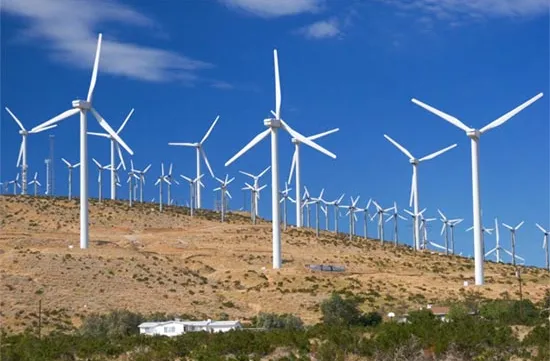 EU firms eye renewable energy sector