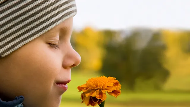 Reaction to smells may help diagnose autism