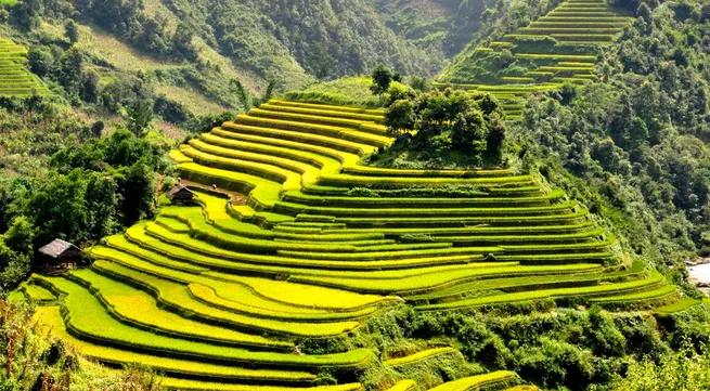 UK’s Telegraph hails Vietnam’s ‘surreal’ rice terraces