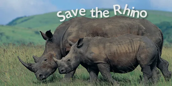 Young people help save the rhino