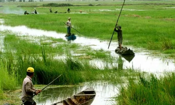 Mekong Delta prepares for coming trade agreements