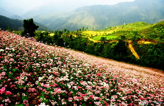 Beauty of Ha Giang promoted in Hanoi