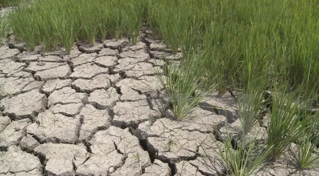 AusAID helps coastal residents adapt to climate change