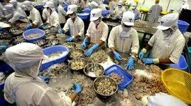 Shrimp exports to UK show abrupt increase