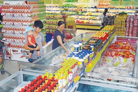 ‘Proud of Vietnamese Goods’ campaign launched