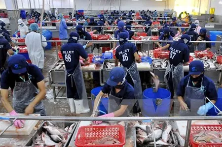 VN fish exports to face tough US inspections