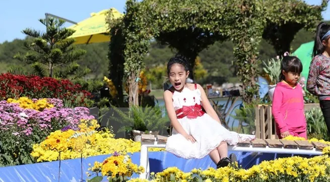 Da Lat flowers festival kicks off