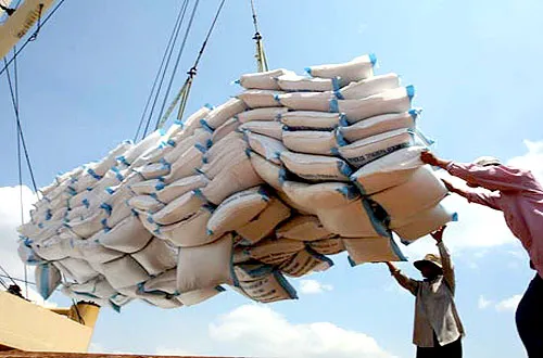 Rice exports to Africa achieve a 50% increase