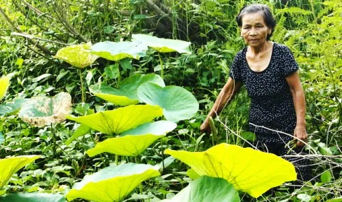 The inseparable ties of villagers along Vietnam-Cambodia border