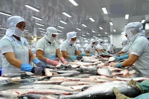 Catfish exports now face tougher US inspections