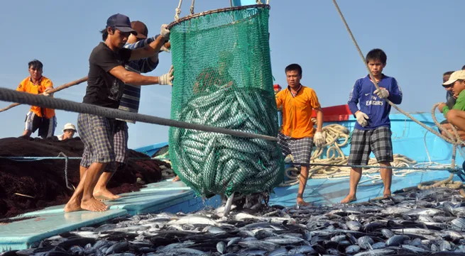 Quang Ngai fishermen go out to sea with New Year spirit