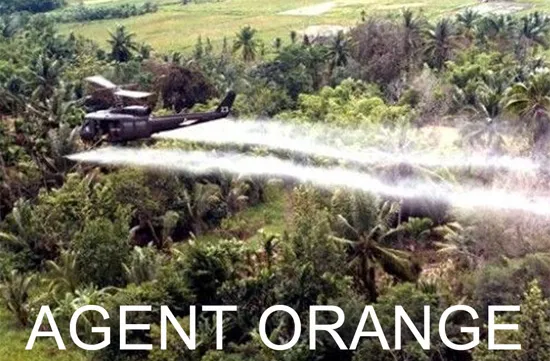 Agent Orange/Dioxin catastrophe day marked