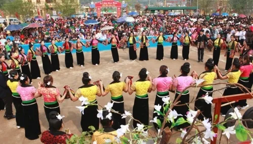 Ban Flower Festival 2017 opens in March next year